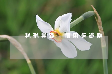 判刑导致 信用卡逾期 判刑导致 信用卡逾期